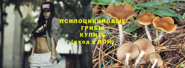 apvp Армянск