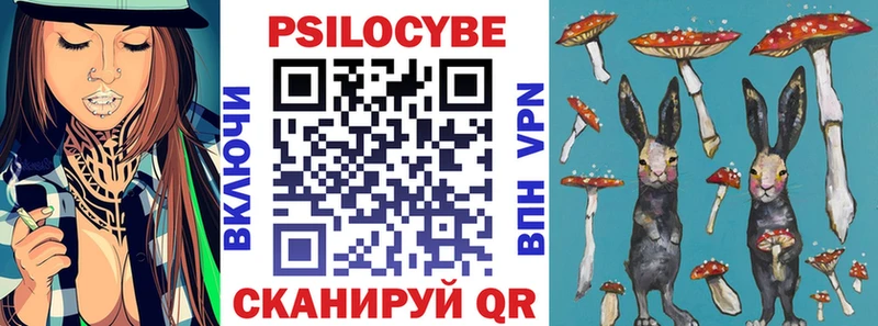 Псилоцибиновые грибы Psilocybine cubensis  Суровикино 